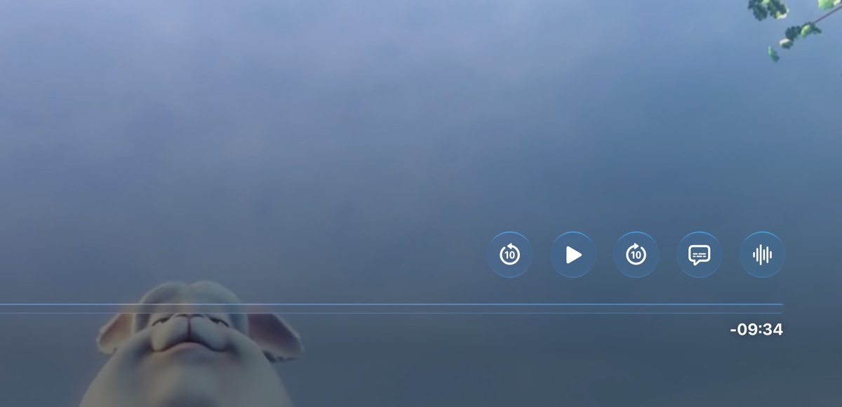 Close-up of the native player's controls: back 10 seconds, play and forward 10 seconds buttons above the progress bar