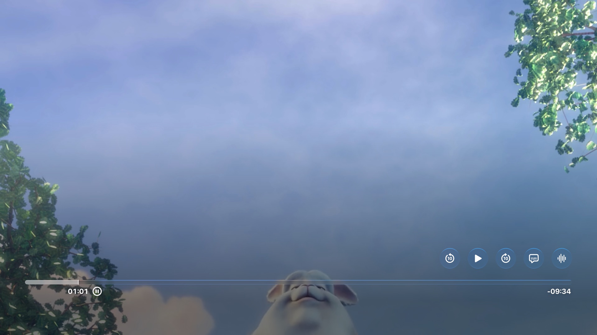 A web video playing full screen in Apple's native player, with back 10 seconds, play and forward 10 seconds buttons